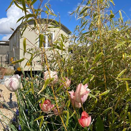 The Shepherd'S Hut Mixbury 외부 사진